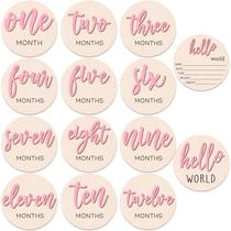 Sinais de madeira Monthly Milestone HIYZI Baby Girl 1-12 meses