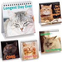Sinais de mesa engraçados FANCY LAND Kitten Lovers com 30 mensagens