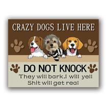 Sinal de alerta: Crazy Dogs Live Here Beware of Barking x10 Sinal de alerta: Crazy Dogs Live Here Beware of Barking x10