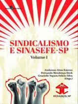 Sindicalismo e sinasefe - sp - vol. 1 Sindicalismo e sinasefe - sp - vol. 1