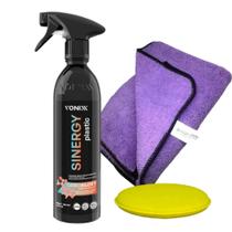 Sinergy Plastic - Coating Spray Para Plástico + Flanela Purple + Aplicador
