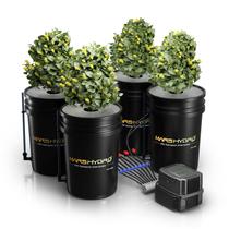 Sistema de cultivo hidropônico MARS HYDRO 5 galões DWC 110V