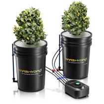 Sistema de cultivo hidropônico Mars Hydro DWC 19L 110V Bomba de ar