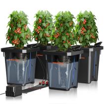 Sistema de cultivo hidropônico Spider Farmer DWC 4x7 galões 120V