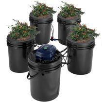 Sistema de cultivo hidropônico VEVOR RDWC com bomba de ar de 5 galões para vegetais Sistema de cultivo hidropônico VEVOR RDWC com bomba de ar de 5 galões para vegetais