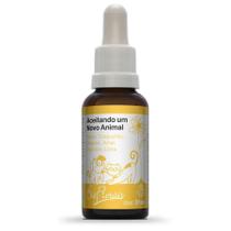 Sistema de Terapia Bio Florais Aceitar um novo animal Sistema de Terapia Bio Florais Aceitar um novo animal