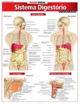 Sistema digestório avançado