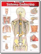 Sistema Endócrino Avançado