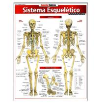 Sistema Esquelético - Resumão - BFeA