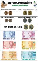 Sistema Monetário Brasileiro Escolar Painel Lona - Loja Amoadesivos