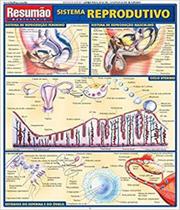 Sistema reprodutivo vol 05