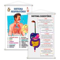 Sistema Respiratório + Digestivo Kit 2 Banners Grande Sistema Respiratório + Digestivo Kit 2 Banners Grande