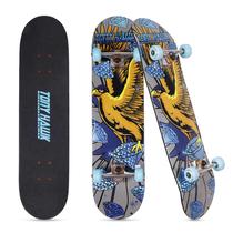 Skateboard VOYAGER Tony Hawk Serie Signature 3 de 31''