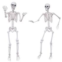 Skeleton Hibsotco de 5,4 pés/165 cm de plástico em tamanho real, pacote com 2