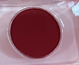 Skin blush compacto belle angel cor:3
