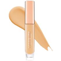 Skin Plush Corretivo L3040