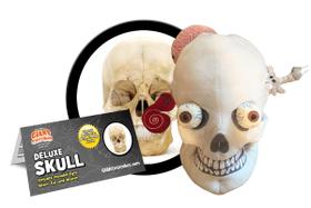 Skull GiantMicrobes Deluxe de pelúcia com miniórgãos realistas