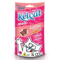 Snack Kelcat Para Gatos Adultos e Filhotes Sabor Salmão 40g Snack Kelcat Para Gatos Adultos e Filhotes Sabor Salmão 40g