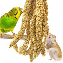 Snacks para aves kathson Mijo natural secado al sol en spray 2 kg Snacks para aves kathson Mijo natural secado al sol en spray 2 kg