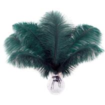 Soarer Ostrich Feathers, 15 unidades, 30-35 cm, verde escuro