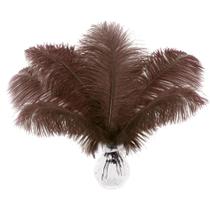 Soarer Ostrich Feathers 15 unidades de 25-30 cm Brown Craft
