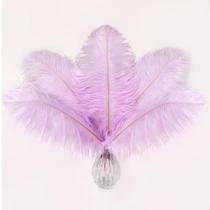 Soarer Ostrich Feathers 15 unidades de roxo claro 25-30 cm