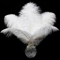 Soarer White Ostrich Feathers, pacote de 15 unidades de 30-35 cm