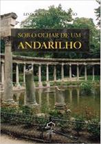 Sob O Olhar de Um Andarilho - Giz