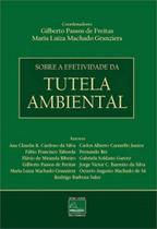 Sobre a efetividade da tutela ambiental