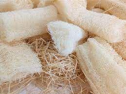 SODO Bucha Vegetal Para Banho