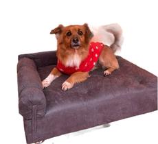 Sofá Pet Divã Para Cães E Gatos Reis Varias Cores em Suede