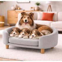 Sofá Pet Estofado Luxo para Gatos e Cães Pequenos com Almofada Removivel Confortável Várias Cores