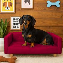 Sofazinho Cama Pet Baby Hanna Luxo Suede