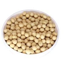 Soja Em Grão Qualidade Premium 10kg