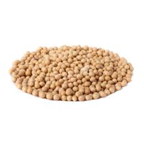 Soja em grãos sem gluten - 500 gr