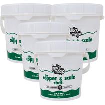 Solução Removedora de Manchas para Piscina Jack's Magic 5 lb - Kit com 4 Solução Removedora de Manchas para Piscina Jack's Magic 5 lb - Kit com 4