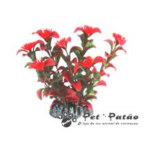 Soma alternanthera vermelha (planta plastica artificial) 20cm - un Soma alternanthera vermelha (planta plastica artificial) 20cm - un