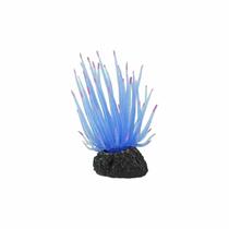 Soma Anemona Long Tentacle Azul