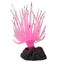 Soma Anemona Long Tentacle Rosa Decoração Aquarios Beterias