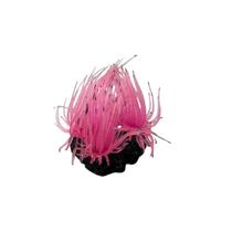 Soma Enfeite De Silicone Anemona Rosa Long Tentacle Multi