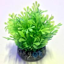 Soma glossostigma base redonda ( planta plastica artificial) 4cm 071008 - un Soma glossostigma base redonda ( planta plastica artificial) 4cm 071008 - un