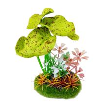 Soma planta duo mix paisagem 16 (050614) - un Soma planta duo mix paisagem 16 (050614) - un