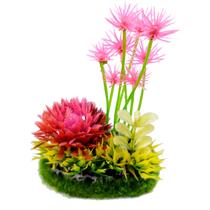 Soma planta duo mix paisagem 20 (050616) - un Soma planta duo mix paisagem 20 (050616) - un