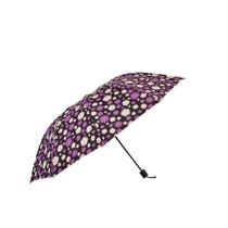 Sombrinha Automática Flores Roxa N226244-8 - Quanhe