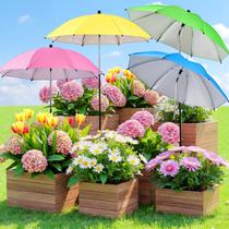 Sombrinhas para plantas FuBegi, kit com 4 unidades, 76 cm, proteção UV Sombrinhas para plantas FuBegi, kit com 4 unidades, 76 cm, proteção UV