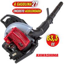 Soprador De Folhas Kawashima KWB63 Potente e Eficiente Ideal Para Uso em Sítios, Chácaras e Terrenos