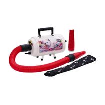 Soprador Secador Portátil Banho e Tosa Pet Aeolus Aeolian II 220V