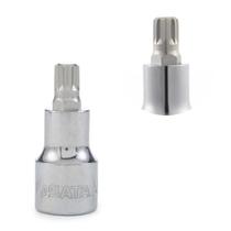 Soquete Bit Multidentado SATA 1/2" XM6 Soquete Bit Multidentado SATA 1/2" XM6