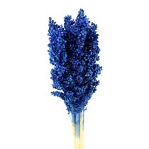 Sorgo Azul Desidratado p/ Decoração