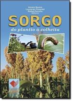 Sorgo do Plantio À Colheita - UFV - UNIV. FED. VICOSA Sorgo do Plantio À Colheita - UFV - UNIV. FED. VICOSA